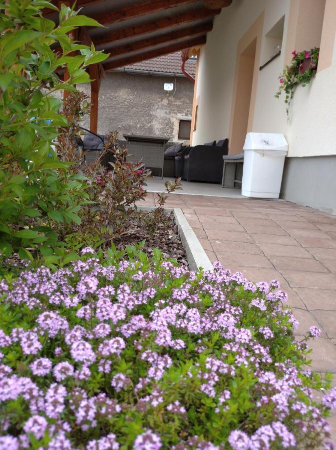 Apartmany Opolany Exteriör bild